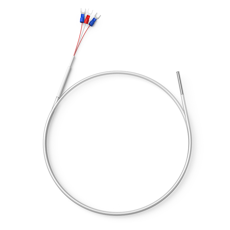 鐵氟龍熱電阻12_http://m.nbjm.com.cn_溫度儀表_第1張